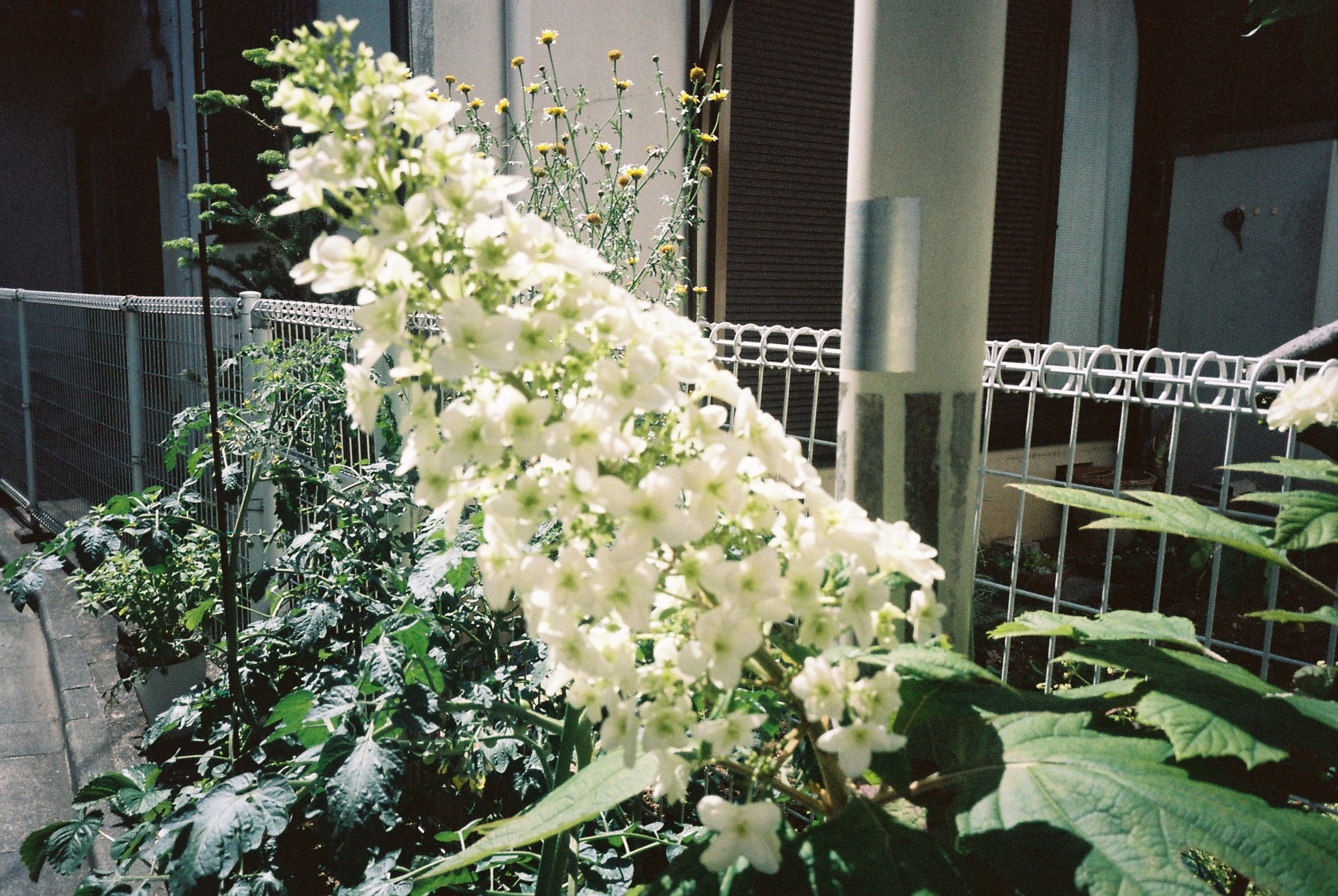 IMG_5874.jpeg
