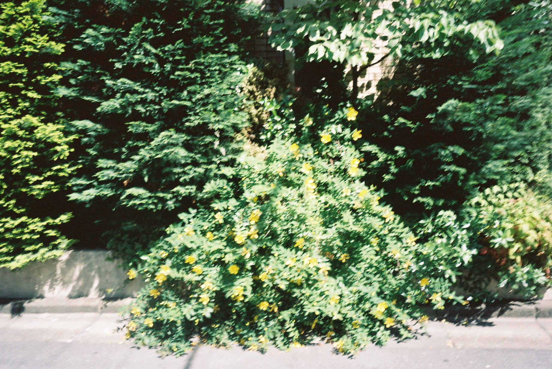 IMG_5931.jpeg